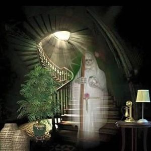 Meet your Posher, Manuel